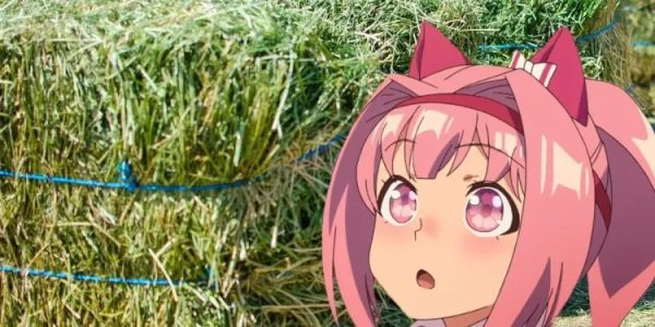 给系统干崩溃了 《赛马娘》春乌拉拉被粉丝送2吨牧草