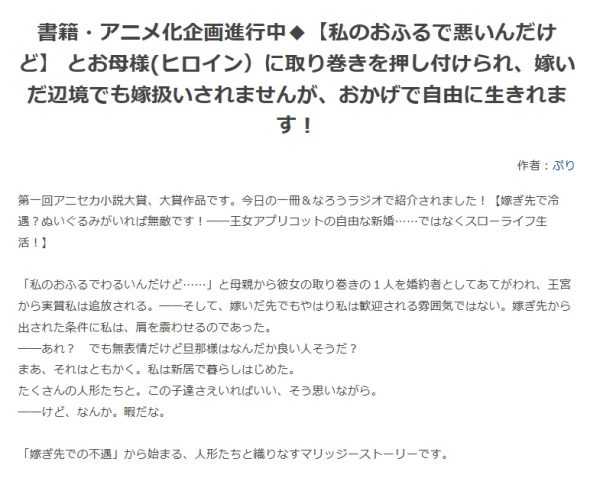 小说《“虽然我老家有点问题”被母亲大人（女主角）硬塞了一个跟班指婚……》宣布改编为动画