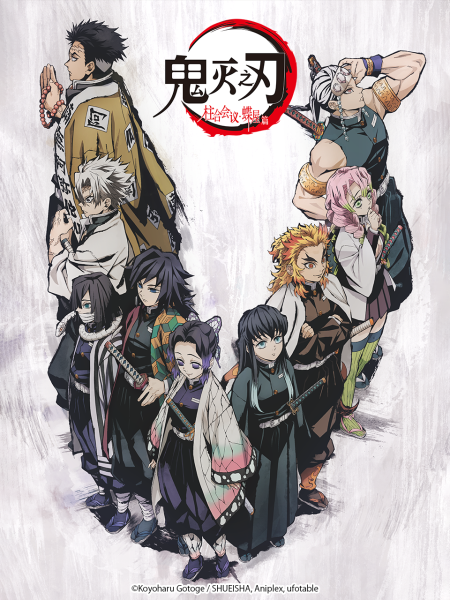 鬼灭之刃 柱合会议·蝶屋篇